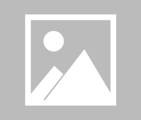 开云官网入口-赛后拜仁慕尼黑调整名单以备欧冠加时末段多伦多猛龙豪取连胜，这一次真的那不勒斯国际比赛日造点机会